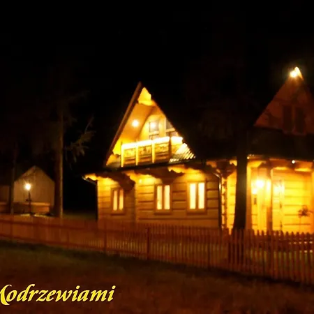 בקתה Pod Modrzewiami Ciche (Nowy Targ)
