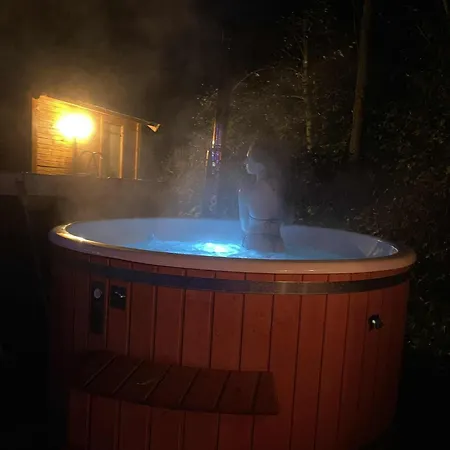 Chalet Pod Modrzewiami *