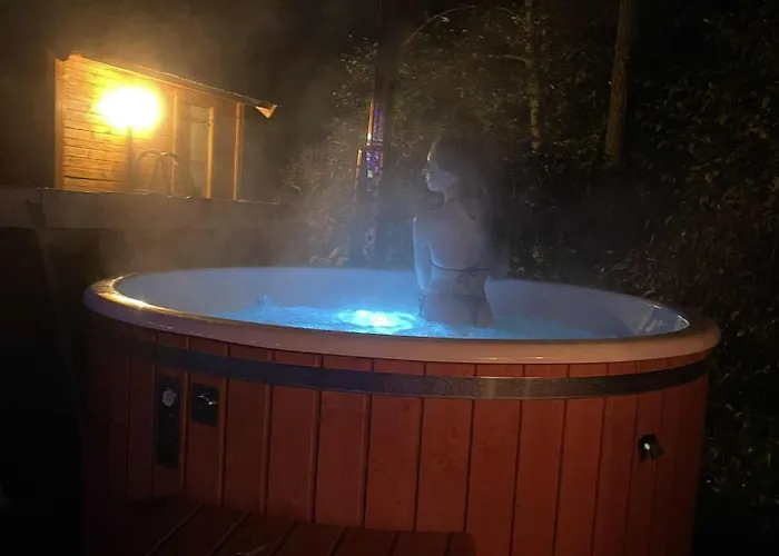 Σαλέ Pod Modrzewiami *